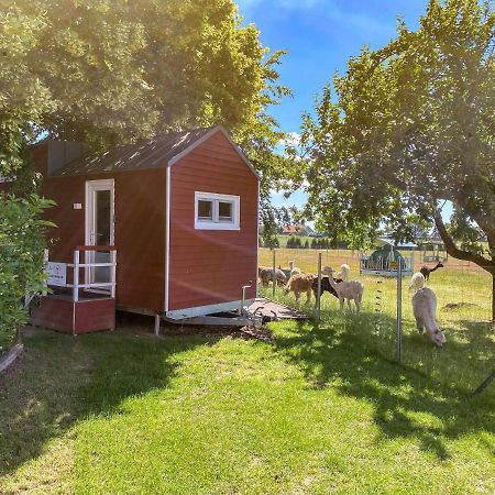 Tiny House Auf Der Alpaka Farm Villa Rubkow Exterior foto