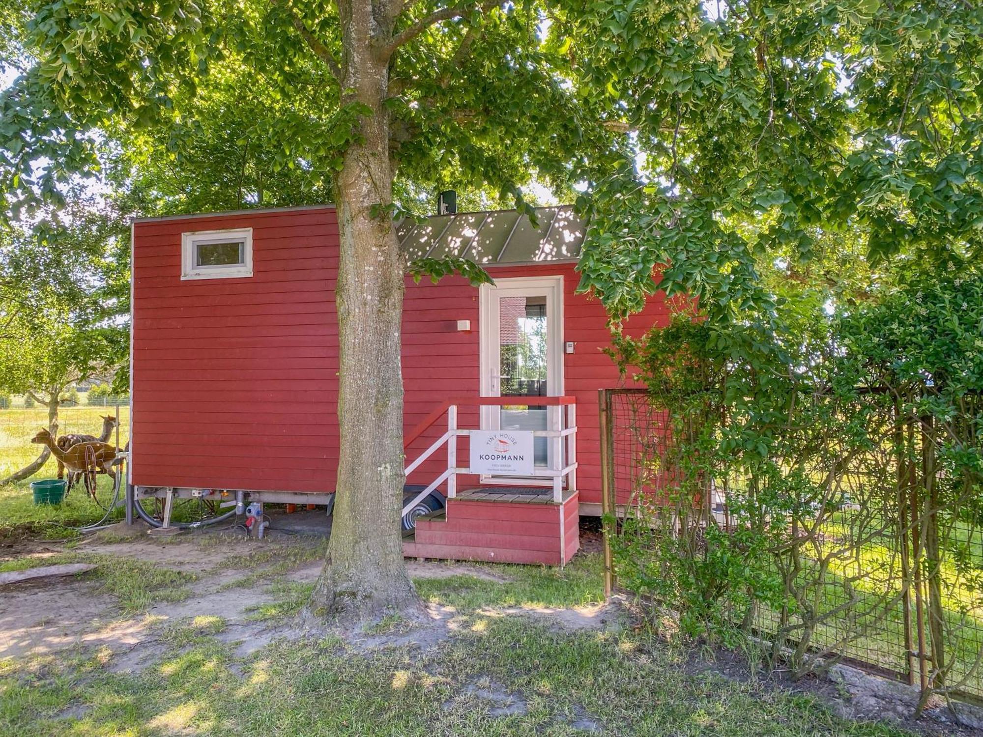 Tiny House Auf Der Alpaka Farm Villa Rubkow Exterior foto